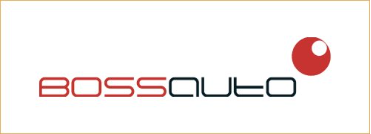 MAISHI wire mesh client: BOSSAUTO logo